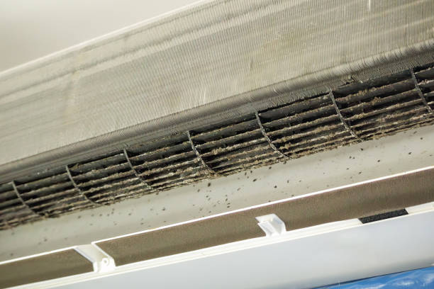 Best Best Air Duct Cleaning Company  in Delta, UT