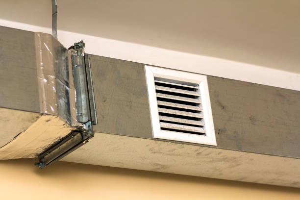 Best Air Duct Sanitizing Services  in Delta, UT